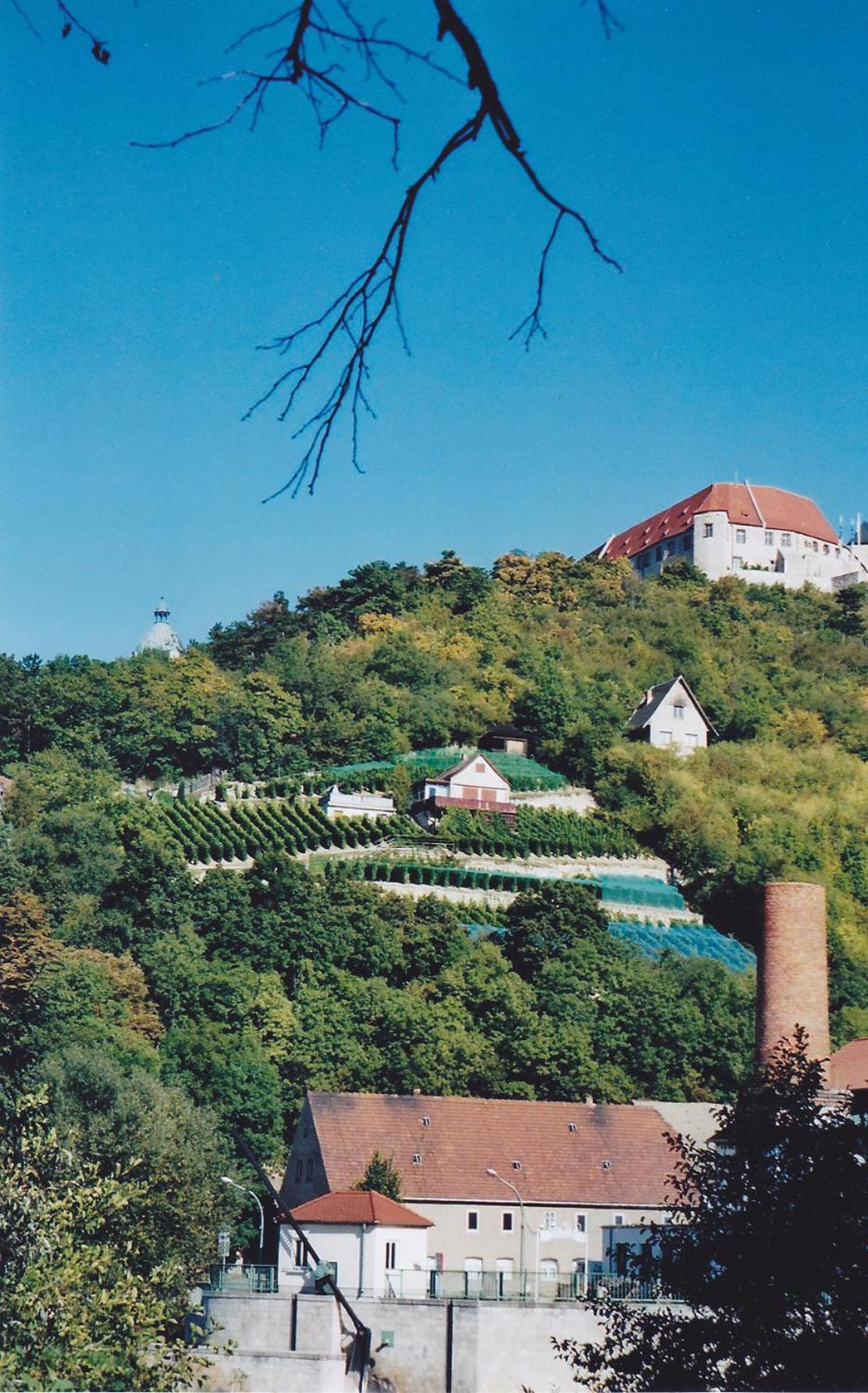 Hotel Garni Zum Rebstock Naumburg  Exterior photo