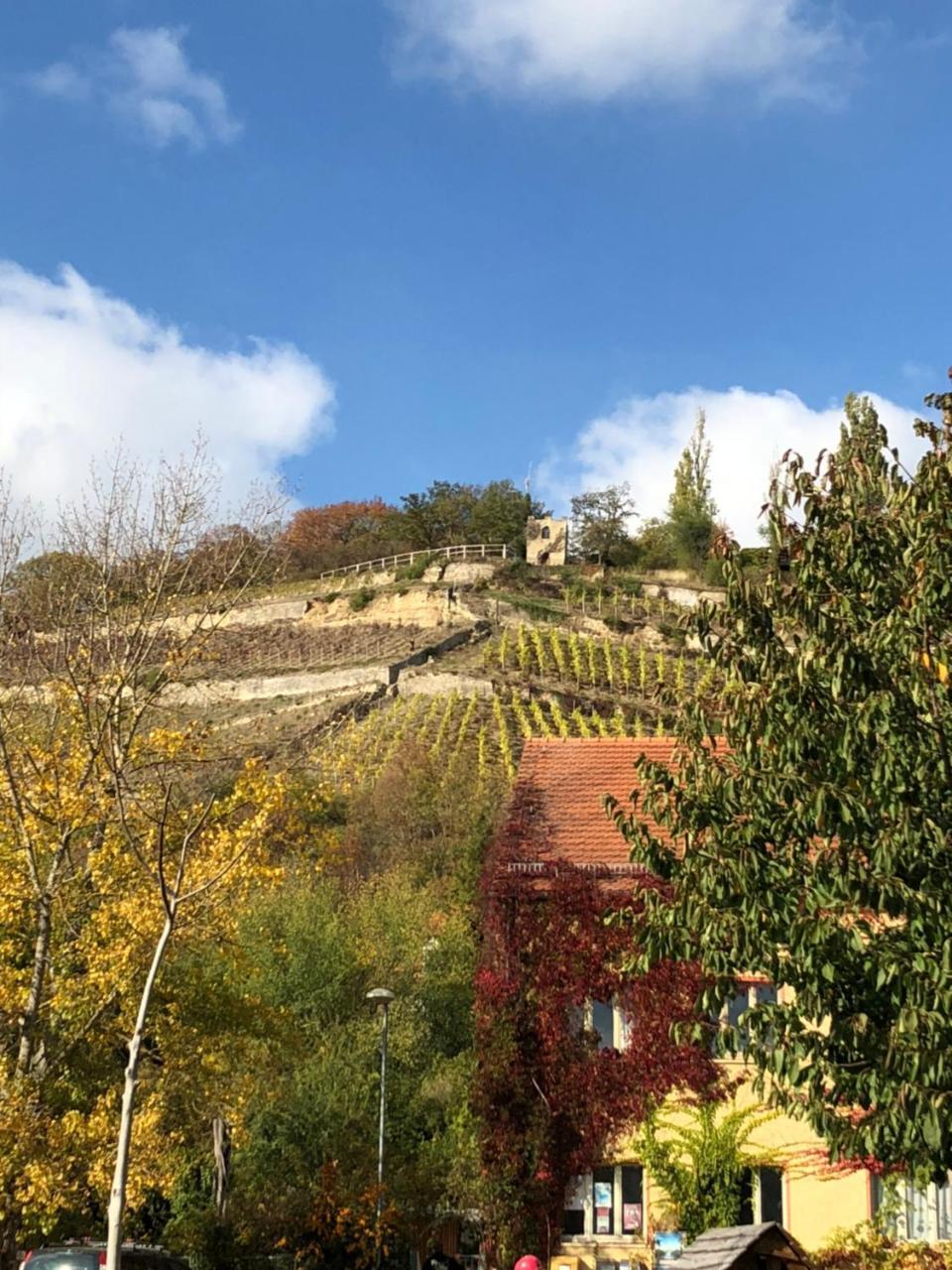 Hotel Garni Zum Rebstock Naumburg  Exterior photo